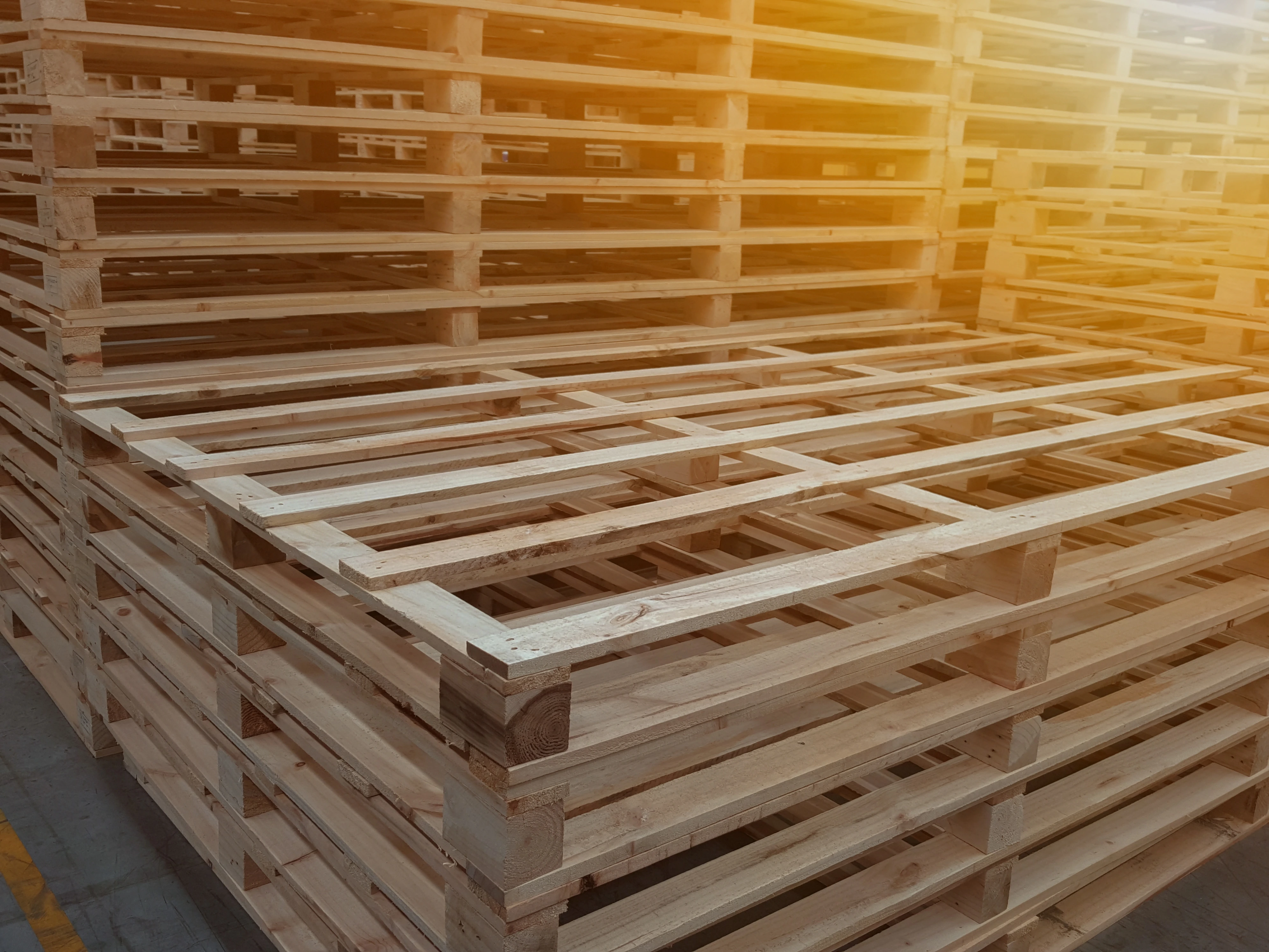 Venta de pallets plásticas y de madera
